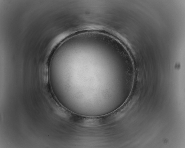 X0000102281171200807251352
