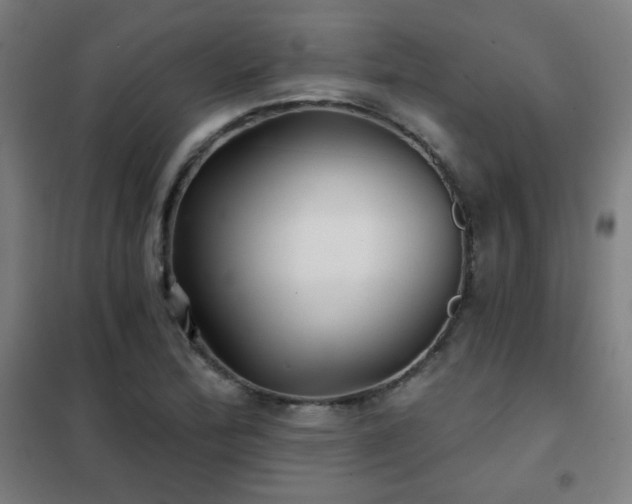 X0000102281172200807251352