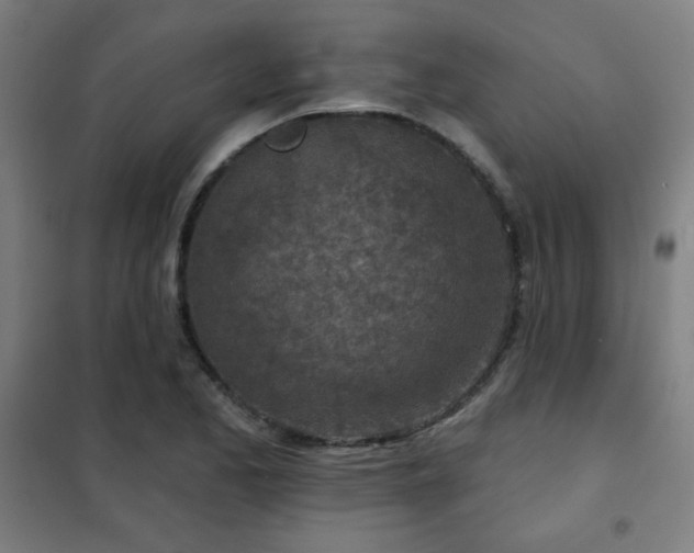 X0000102281173200807251352