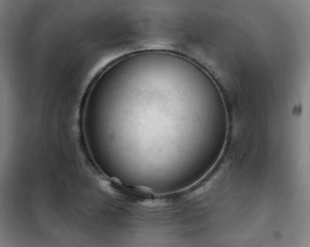 X0000102281174200807251352