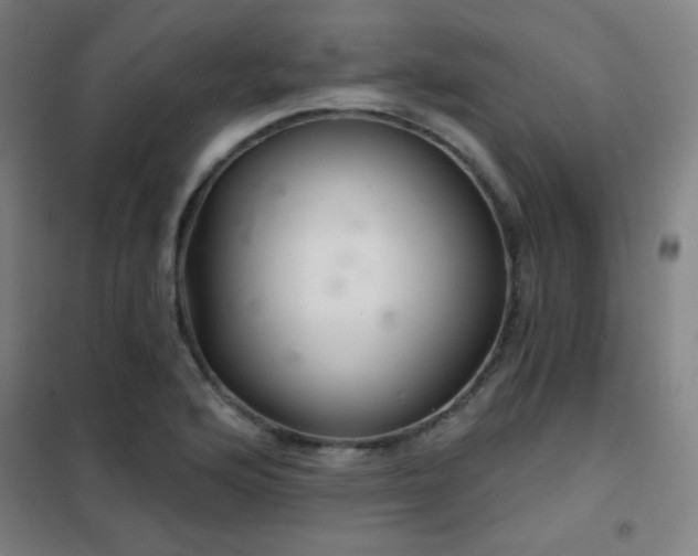 X0000102281176200807251352