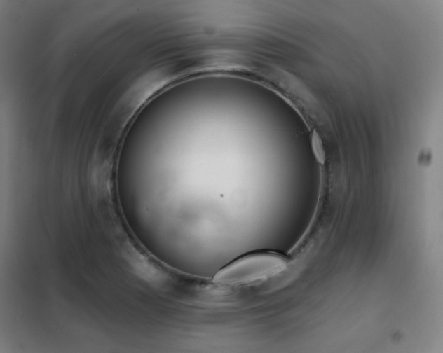 X0000102281177200807251352