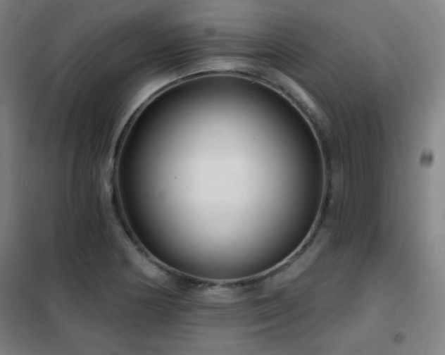 X0000102281178200807251352