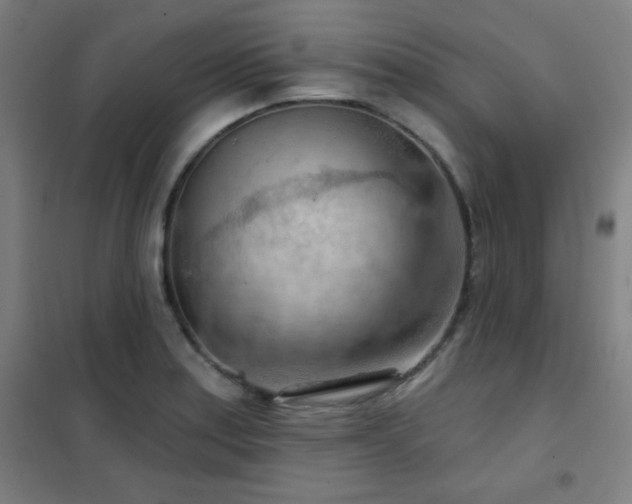 X0000102281179200807251352