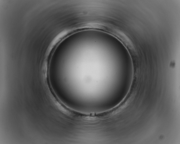 X0000102281180200807251352