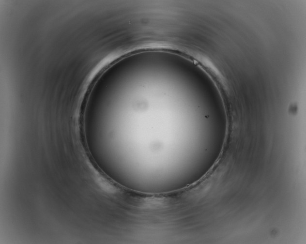 X0000102281181200807251352