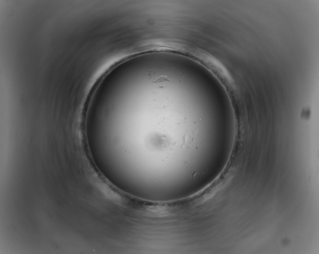 X0000102281182200807251352
