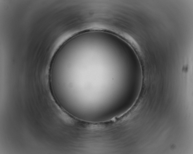 X0000102281183200807251352