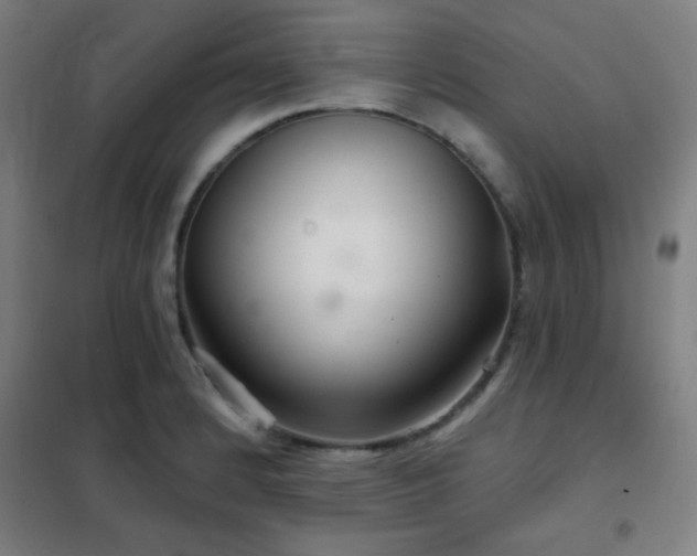 X0000102281184200807251352