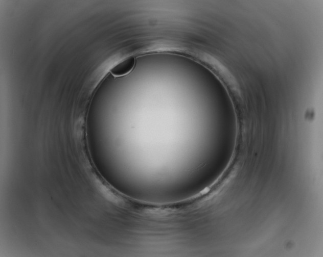 X0000102281185200807251352