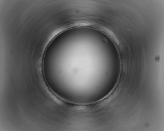 X0000102281186200807251351