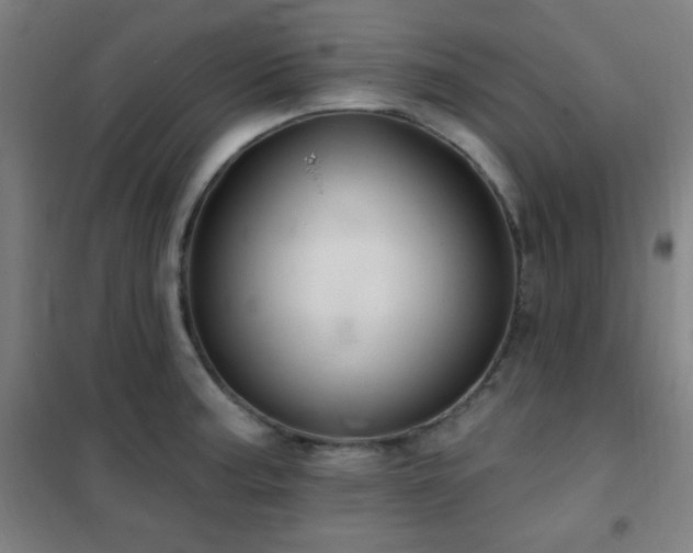 X0000102281187200807251351