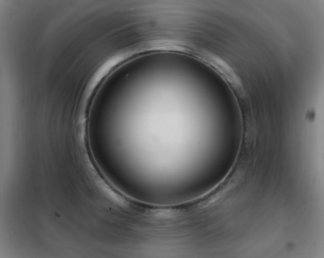 X0000102281188200807251351