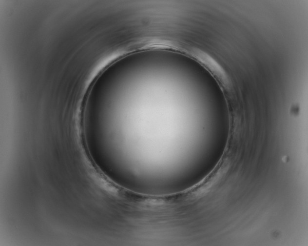 X0000102281190200807251351