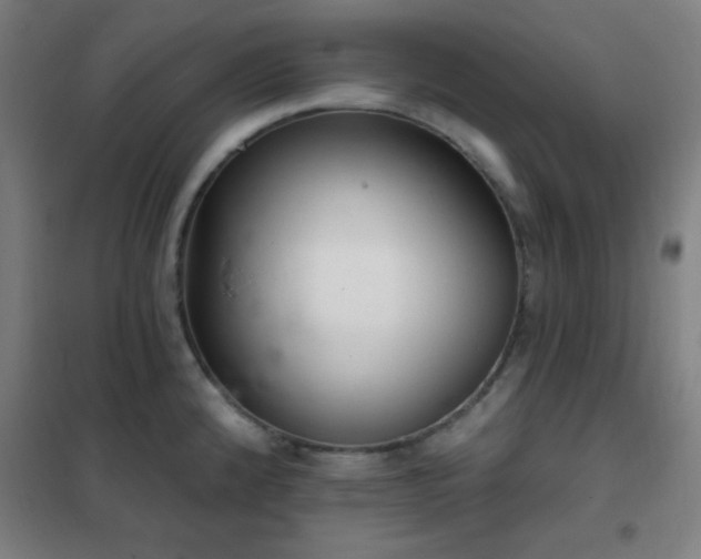 X0000102281192200807251351