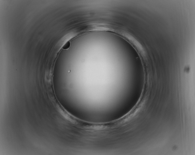 X0000102281193200807251351