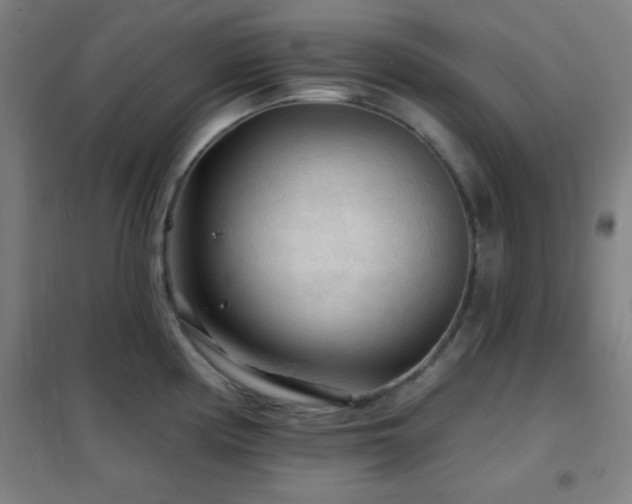 X0000102281194200807251351