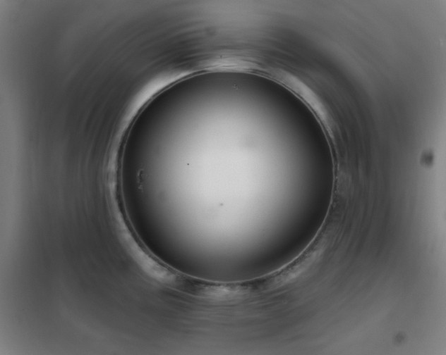 X0000102281195200807251351
