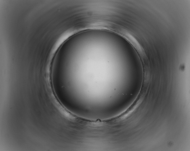 X0000102281196200807251351
