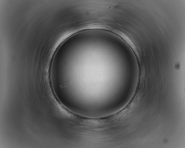 X0000102281197200807251351