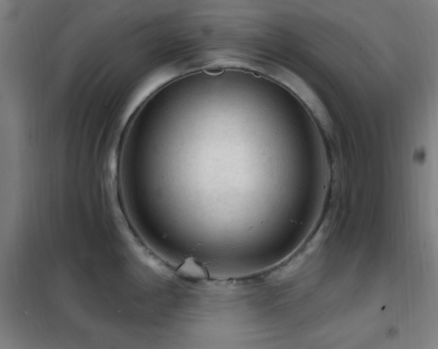 X0000102281198200807251351