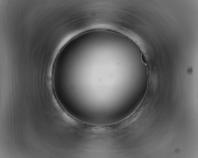 X0000102281199200807251351