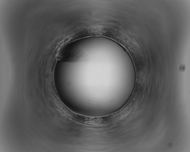 X0000102281201200807251351