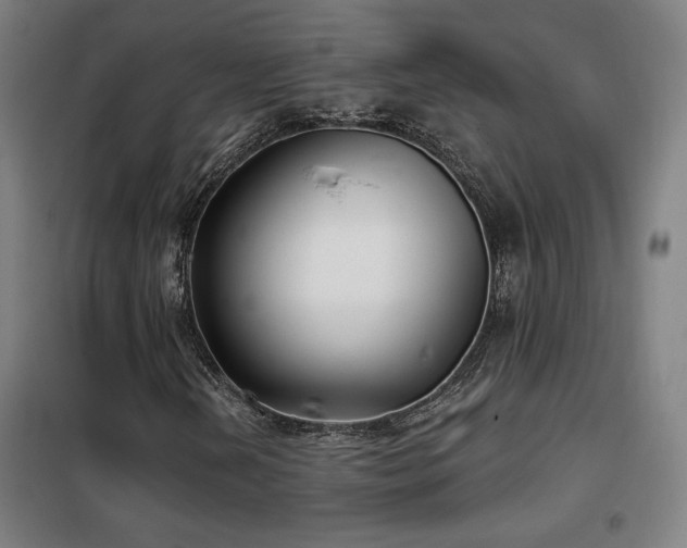 X0000102281202200807251351