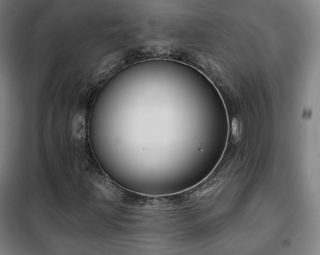 X0000102281203200807251351
