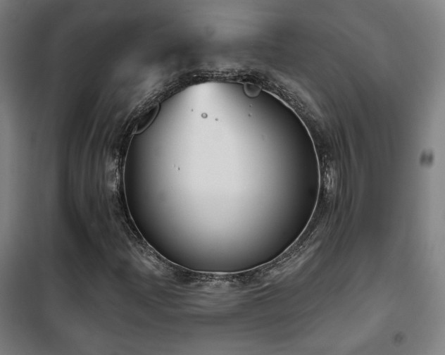 X0000102281204200807251351