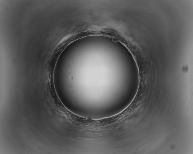 X0000102281206200807251351