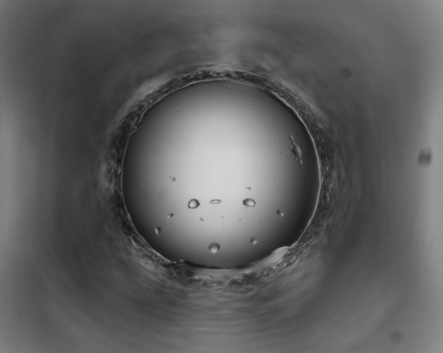 X0000102281207200807251351
