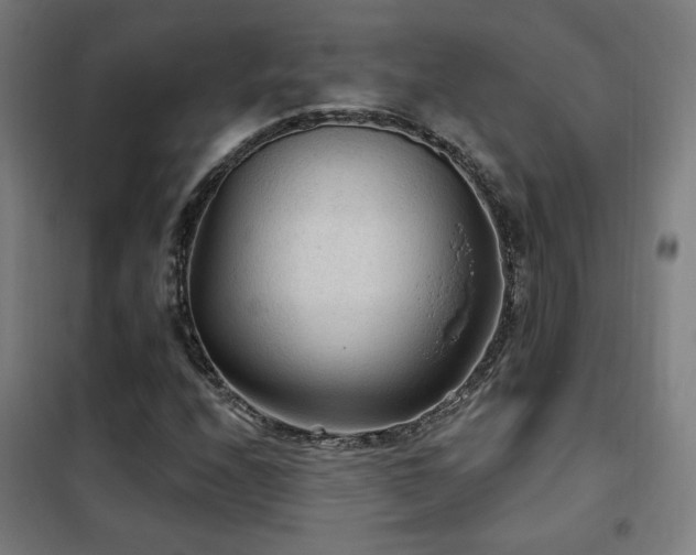 X0000102281208200807251351