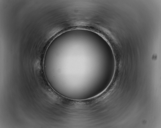 X0000102281209200807251351