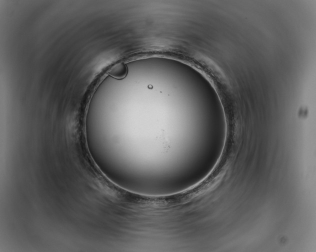 X0000102281210200807251351
