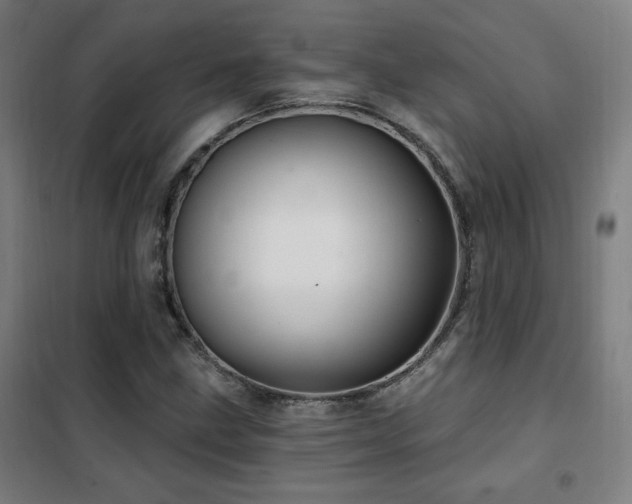 X0000102281211200807251351