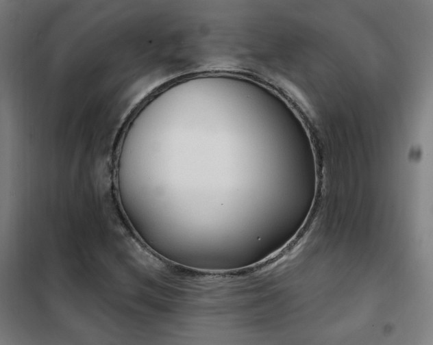 X0000102281212200807251351