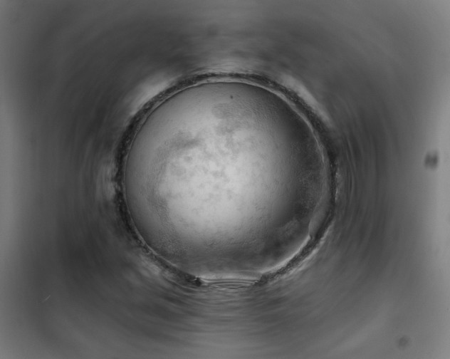 X0000102281213200807251351