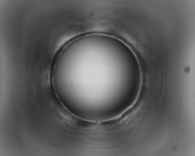 X0000102281214200807251351