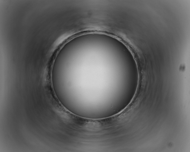 X0000102281215200807251351