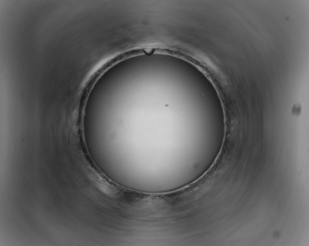 X0000102281216200807251351