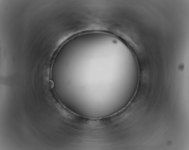 X0000102281220200807251351