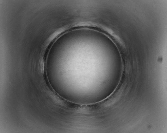 X0000102281221200807251351