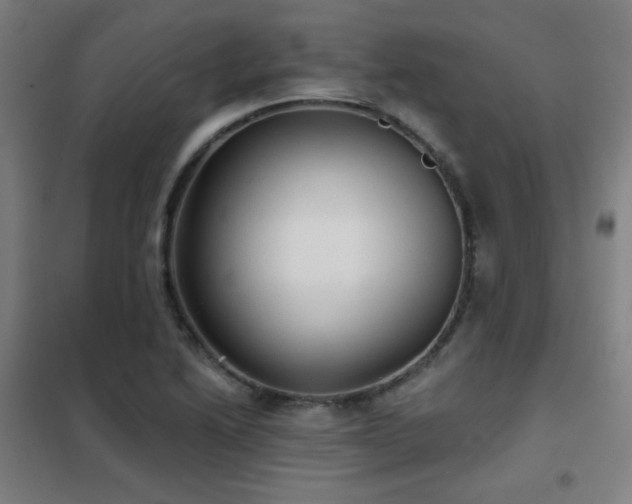 X0000102281222200807251351