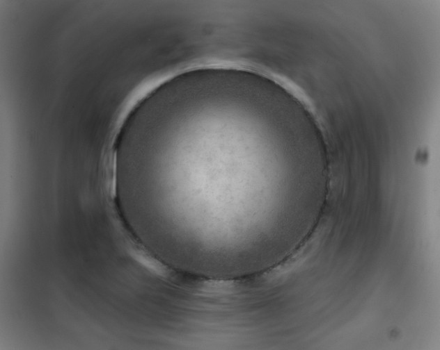 X0000102281223200807251351