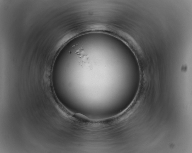 X0000102281225200807251351