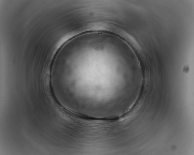 X0000102281226200807251351