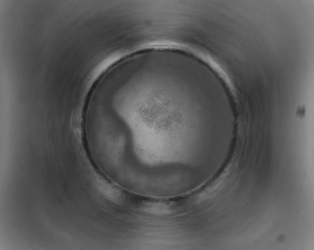 X0000102281229200807251351