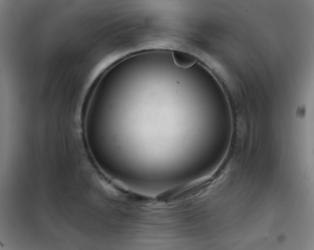X0000102281230200807251351