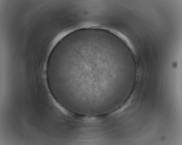 X0000102281231200807251351